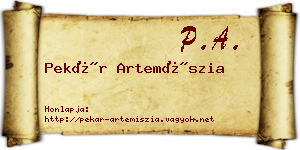 Pekár Artemíszia névjegykártya